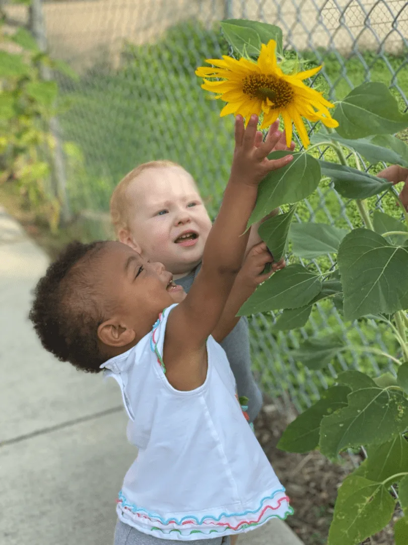 Donate_Feature_Image_sunflowers