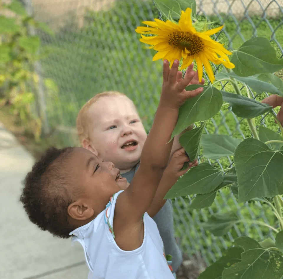 Donate_Feature_Image_sunflowers